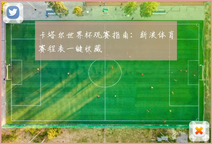 卡塔尔世界杯观赛指南：新浪体育赛程表一键收藏